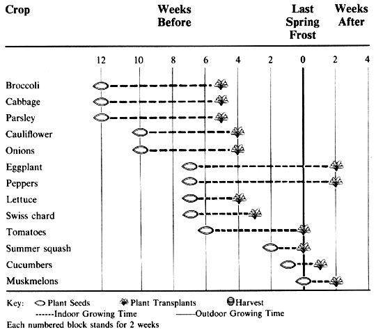 Planting Schedule